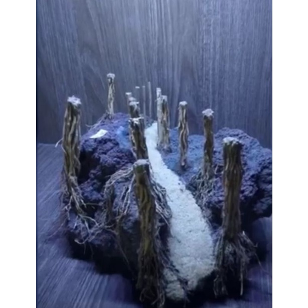 hardscape jungle jalan