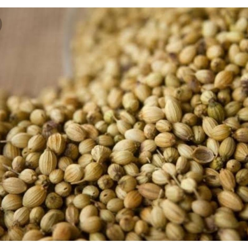 

KETUMBAR/KETUMBAR SUPER500G/BIJI KETUMBAR MURAH..