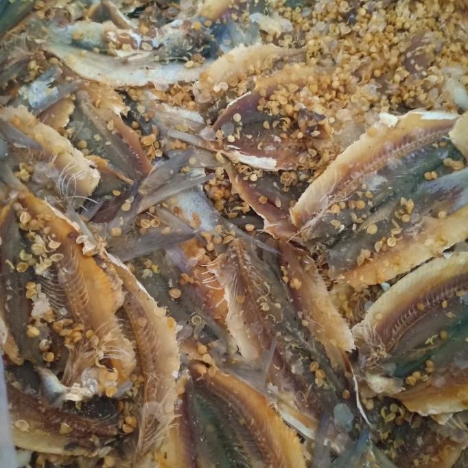 

[COD] dendeng japuh per 1kg [COD]