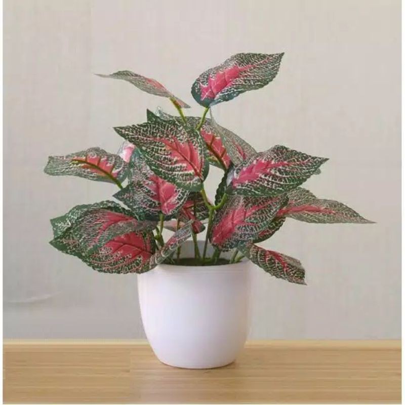 Daun Kering Dekorasi