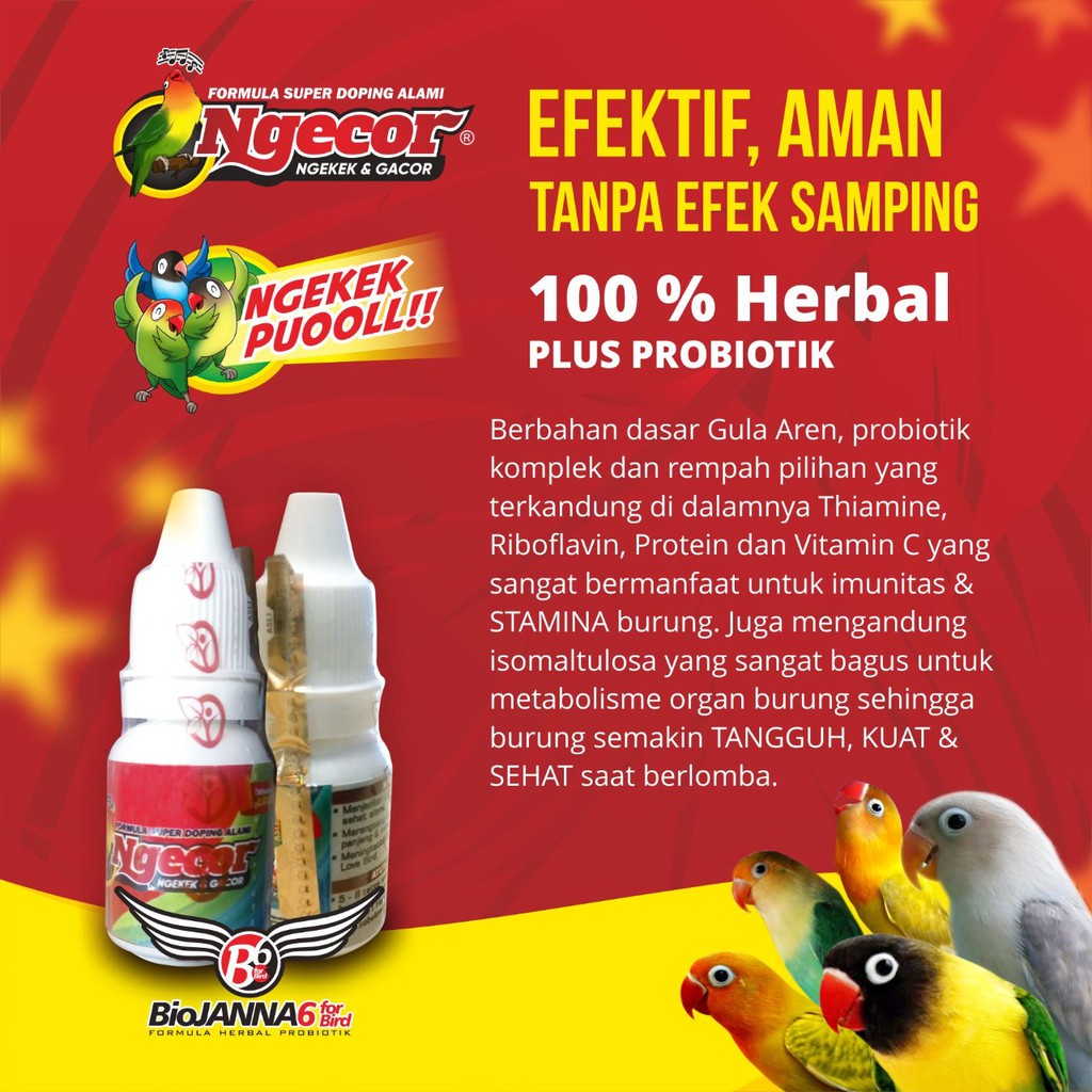 Simak Manfaat Vitamin Orange Untuk Lovebird 
