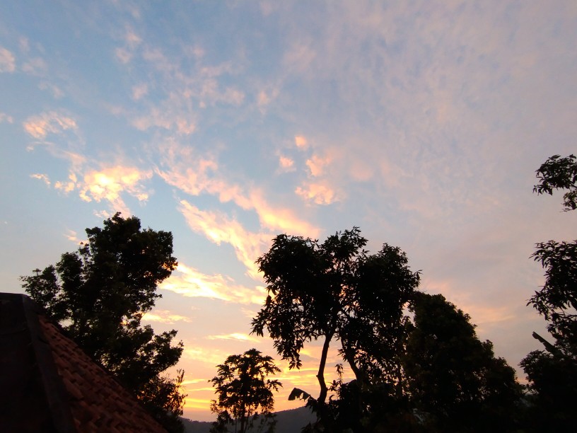 Sumpit Bambu Chopstick Bamboo Makan Restoran Dapur