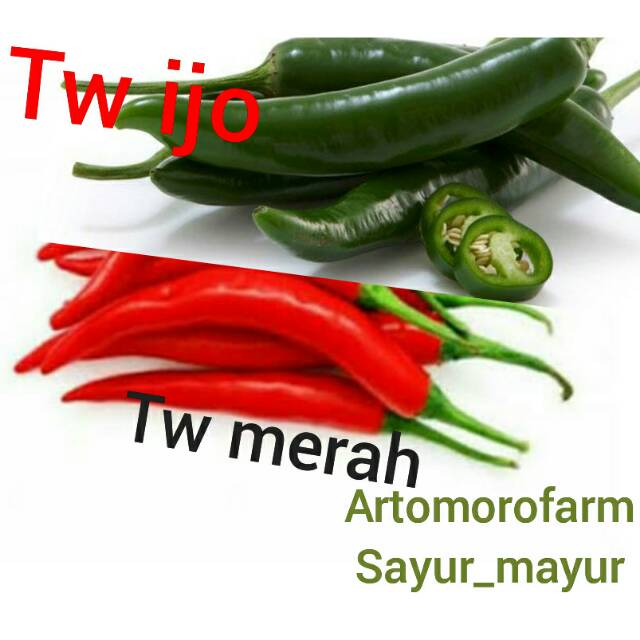 

cabe TW merah dan TW hijau