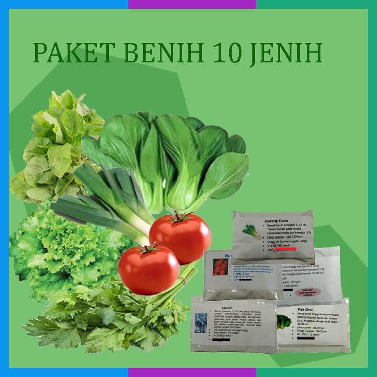 10 Macam Benih Sayur