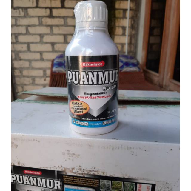Bakterisida Puanmur 250 gram pengendali blas , kresek dan layu