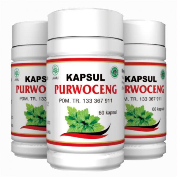 Purwoceng Original isi 60 Kapsul AlGhuroba Obat Tahan Lama BPOM