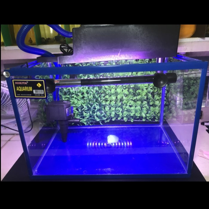 Paket Starter Aquarium Triset Nikita Size S/M/L