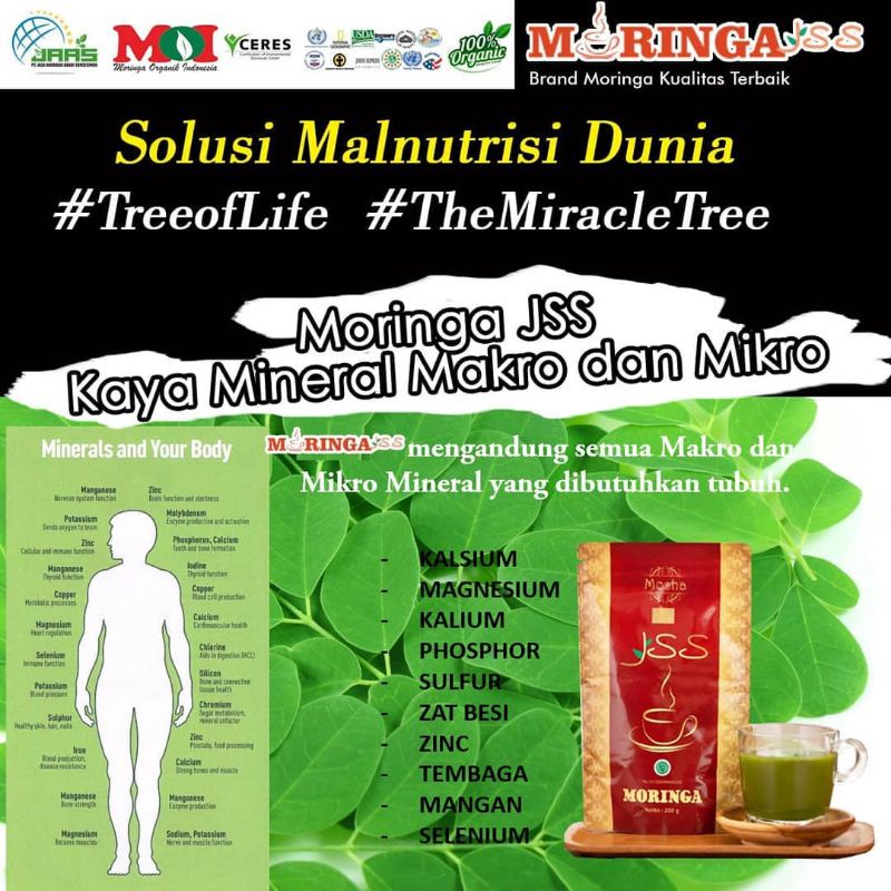 Bubuk Daun Kelor, Moringa JSs