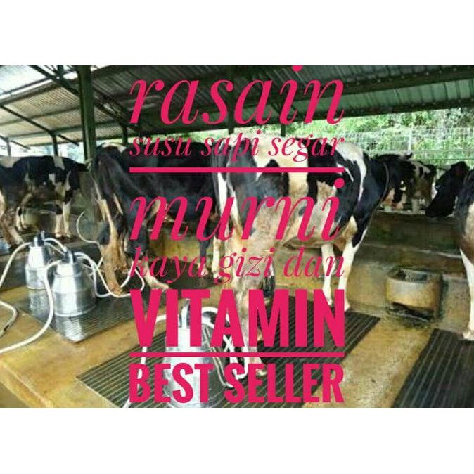 

ENAK susu sapi segar murni berkualitas agen (Best Seller JaBoDeTaBek) BANYAK RASA