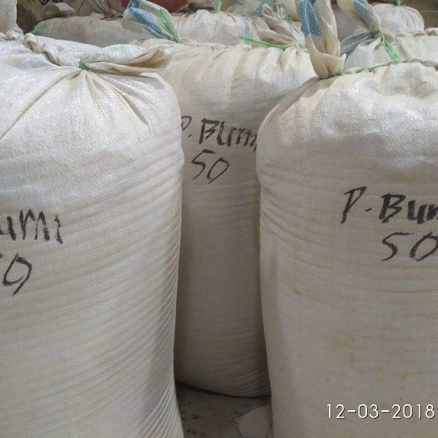 

pasak bumi bubuk 500 gram