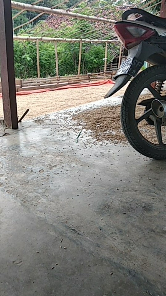 Maura Couple - Sania Ruffle Batik Couple Ori Ndoro Jowi Dnt Garansi Termurah Shopee -