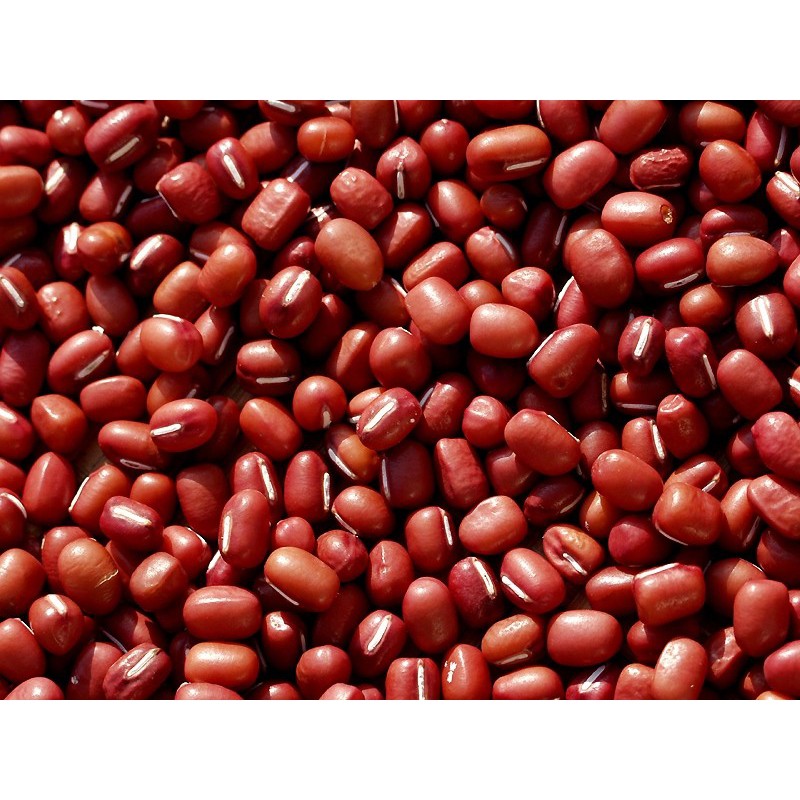 (JSO) Kacang Merah ADZUKI 500Gr SUPER Import China / Azuki Red Beans