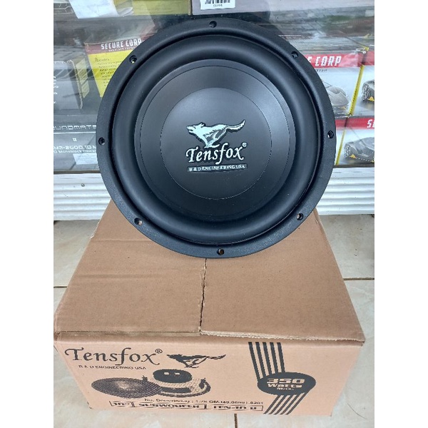 subwoofer tensfox 10"