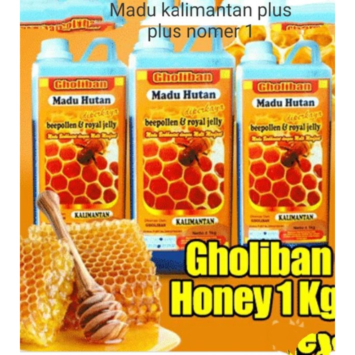 

Madu Hutan Kalimantan 1kg Goliban