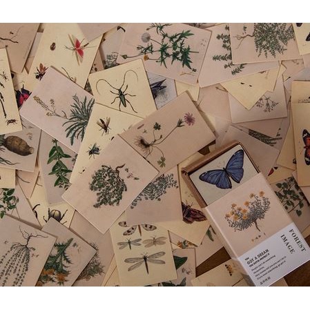 

(DISKON TERMURAH) Scrapbook Paper Pack 30x44mm - Got A Dream Series (100pcs/200pattern) - FOREST IMAGES