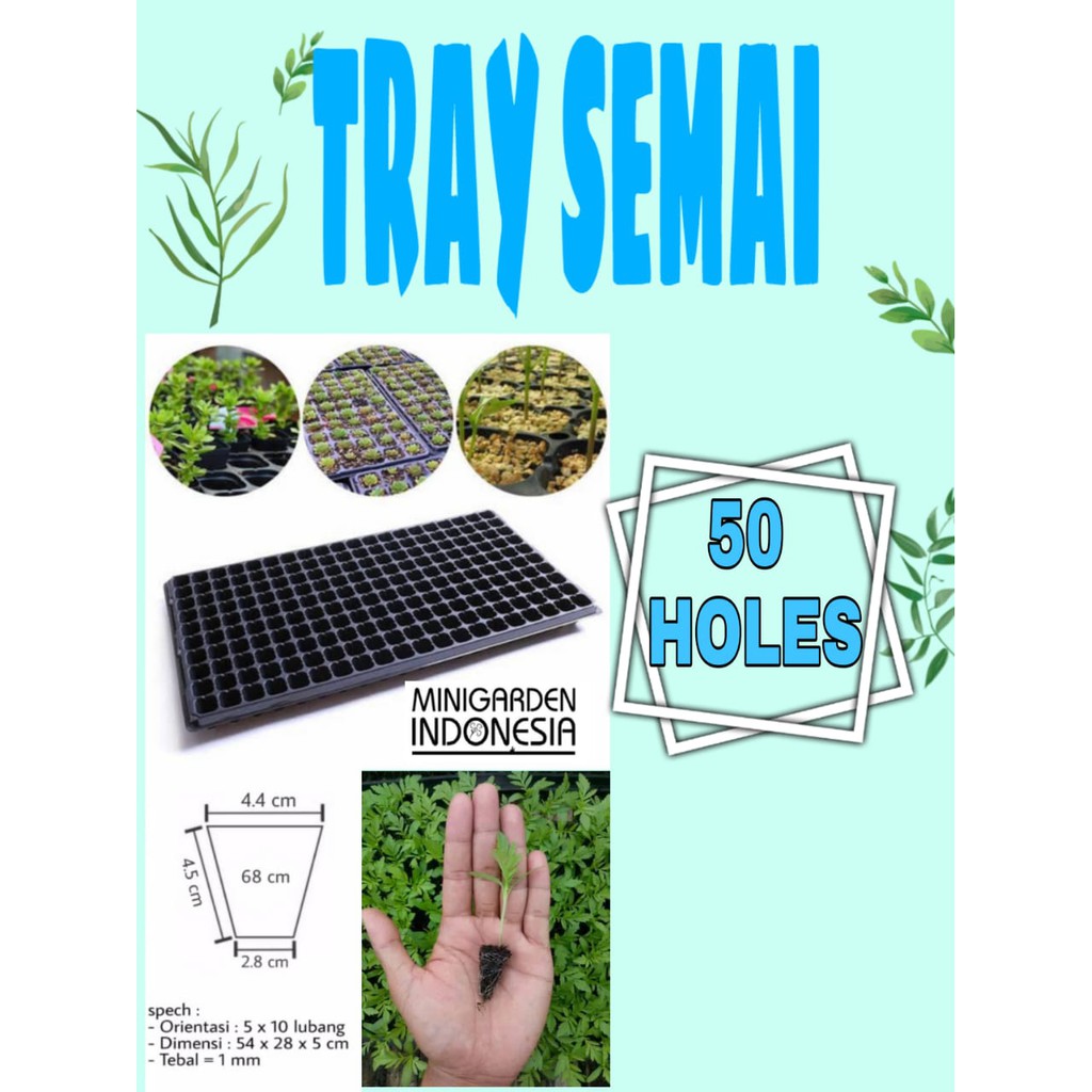 TRAY SEMAI POT TRAY 50 LUBANG Traypot Bibit Biji Nampan Benih Seedling pot Hidroponik tanaman 50hole