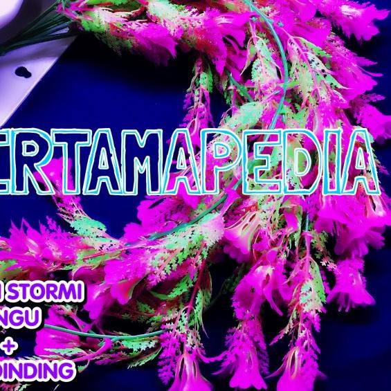 ✬ Bunga Plastik/ Daun Rambat/ Rumput Plastik/ Busa Gabus /Floral Foam - Putih ✧