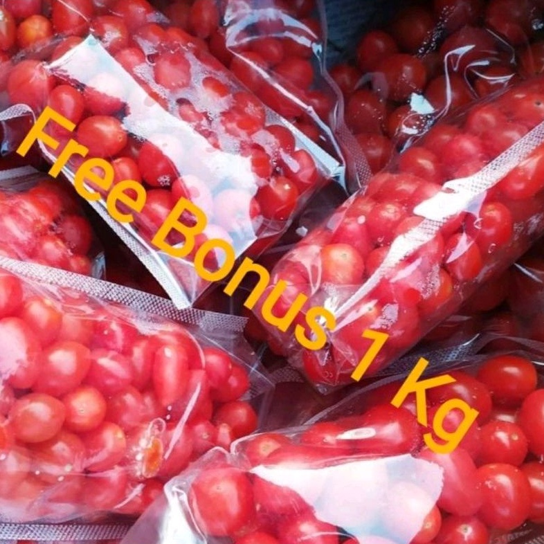 

Tomat Cherry Per Pck + Gratis Bonus