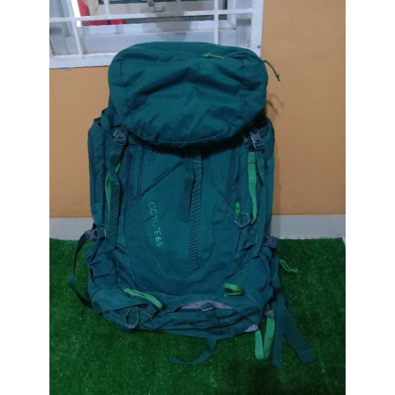 Kelty Coyote 65 th 2019 second