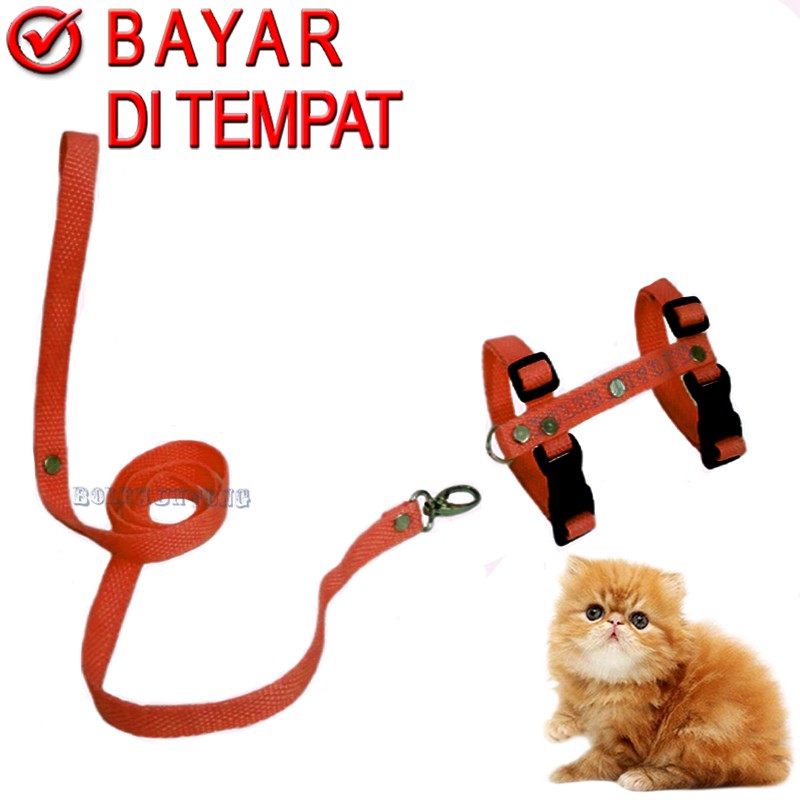 Harnes H Kucing Musang Oter Puppy Monyet Tali Tuntun Hewan Pengikat