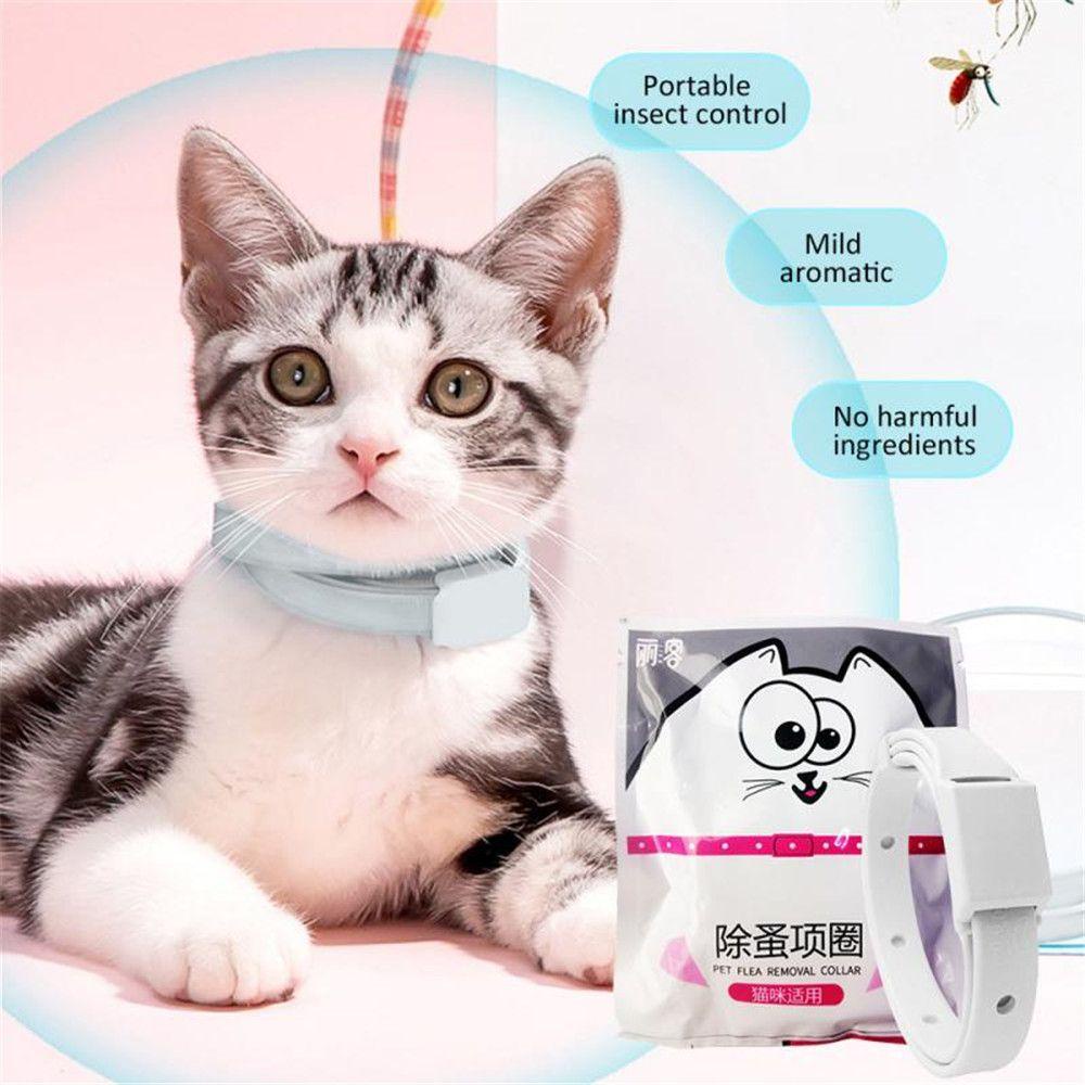 Solighter Pet Collar Grooming Tool Hot Flea Killer Cat Kitten Obat Anti Kutu Tungau Acari Kutu