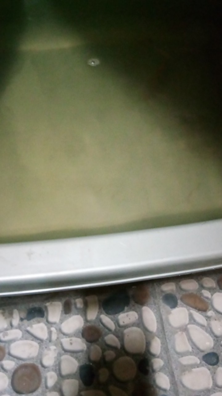 Fishpond M | Kolam Ikan Plastik | Bak Aquarium Ikan