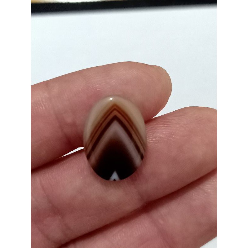 

Junder unik coklat muda