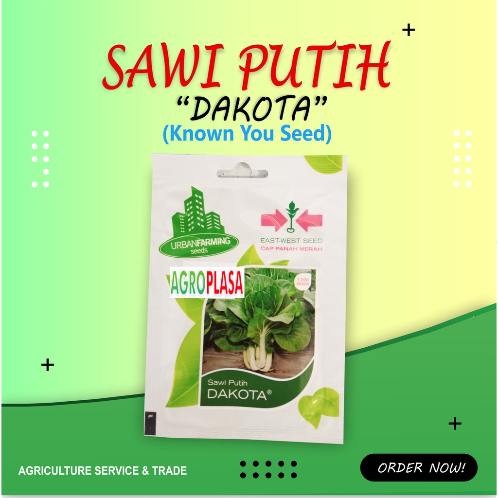 Benih Sawi Putih DAKOTA - Cap Panah Merah