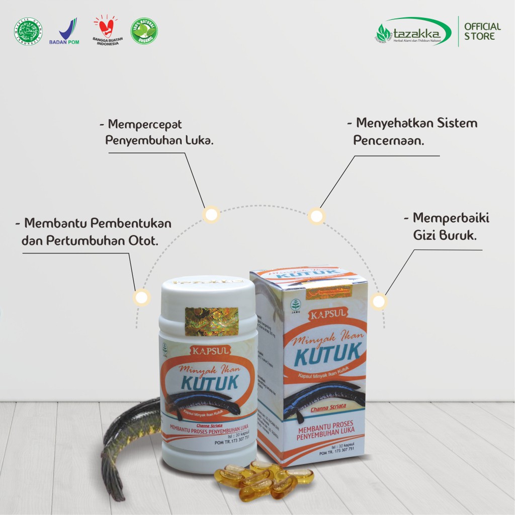 MINYAK IKAN Kutuk isi 30 kapsul kapsul ikan gabus | Obat Herbal Pasca Operasi IKAN KUTUK Tazakka HALAL BPOM