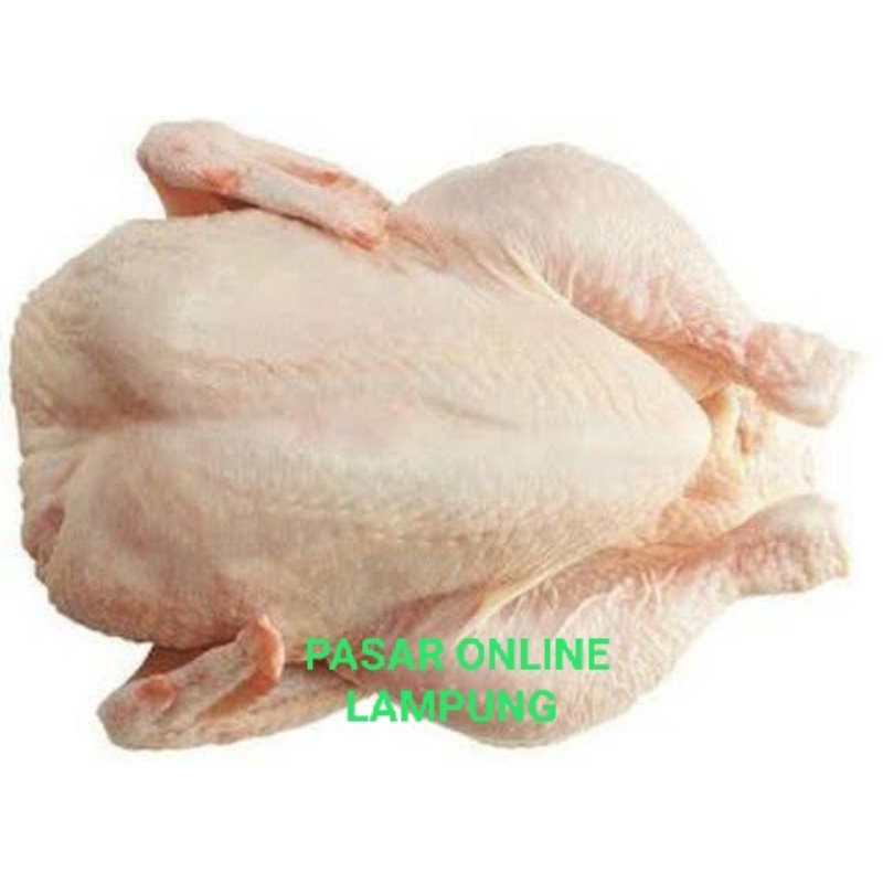 

Ayam Potong Segar 850 gr s.d 950 gr