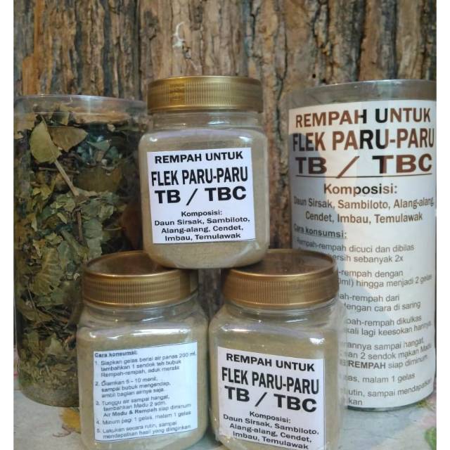 REMPAH UNTUK FLEK PARU-PARU, TB, TBC