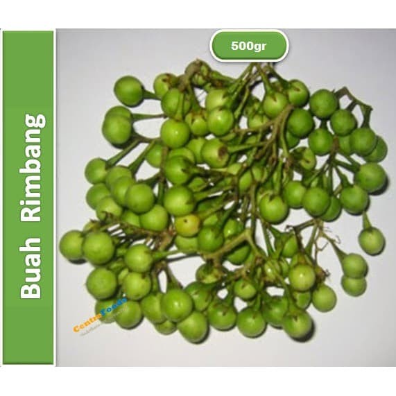 

Sayur Buah Rimbang - Tekok Takokak Fresh | 500gr [ Harga Per 0,5 Kg ]