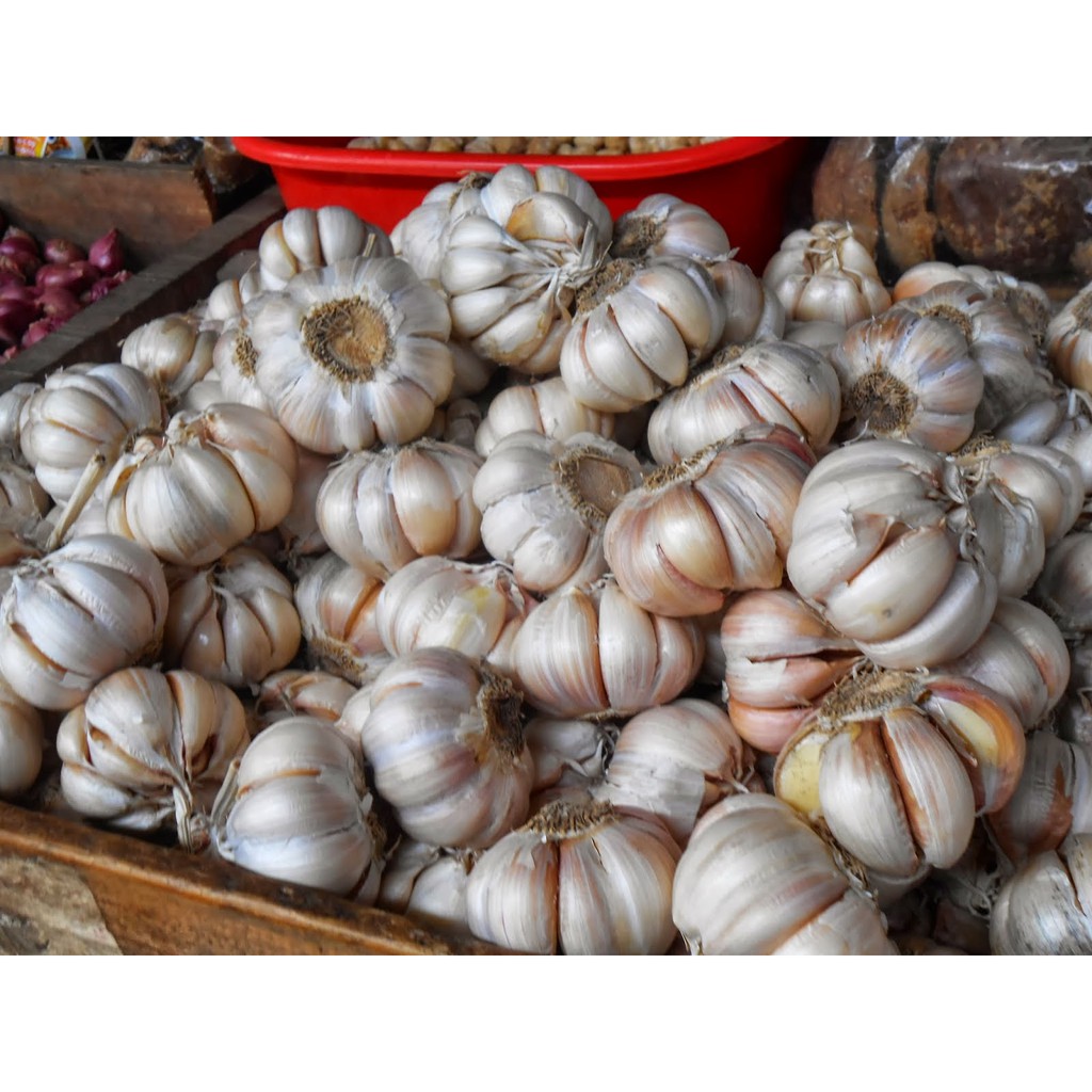 

bawang putih bersih super dan full sortir, berat 500 GR