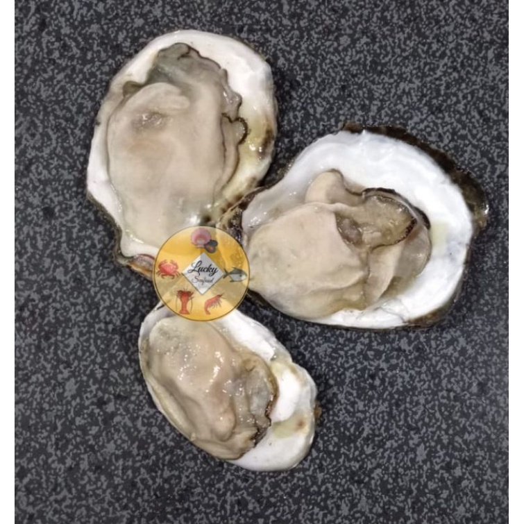 

OYSTER/TIRAM KUPAS CANGKANG SEBELAH ISI 5 PCS