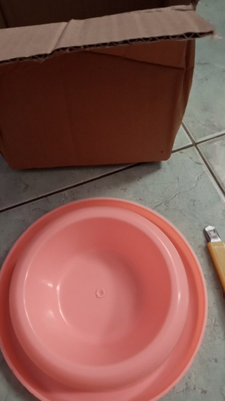 Tempat Makan Anti Semut Single T77