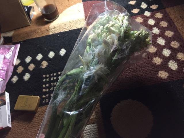  Bunga  sedap  malam  wangi Shopee Indonesia