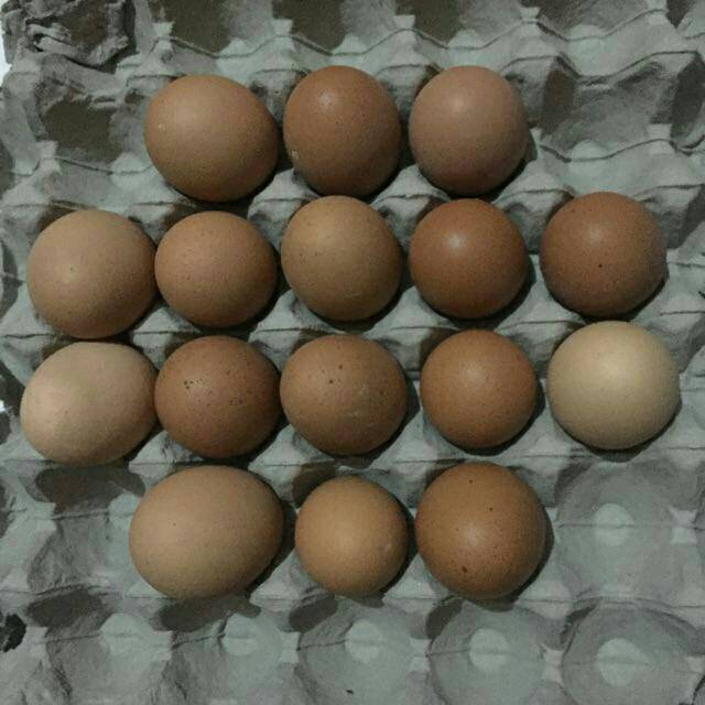 

Telur ayam / bahan makanan pokok/ makanan segar pasar Bandung