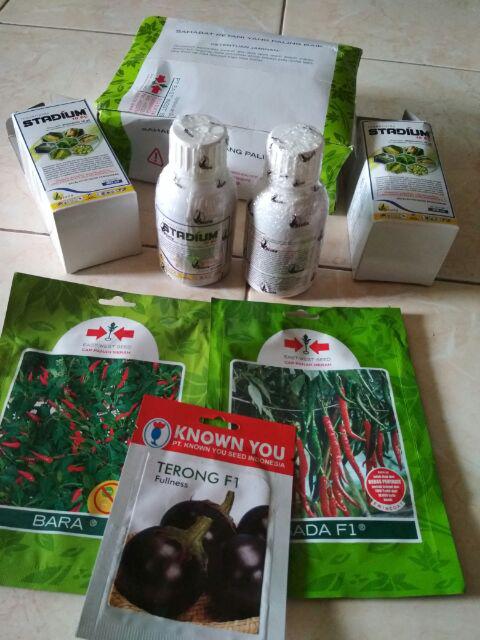 Benih Cabe / Cabai Rawit Bara 500 Butir