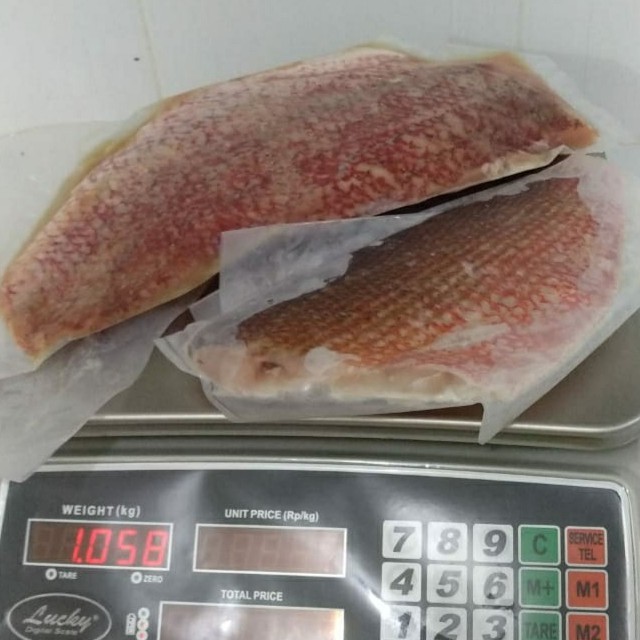 Kakap Merah / Kakap Putih Fillet (kemasan 1 kg)