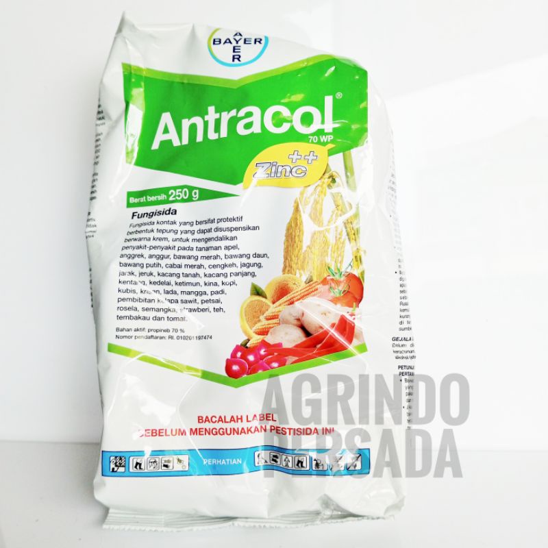 Fungisida Antracol 70WP 250gram | Antracol 250 gram