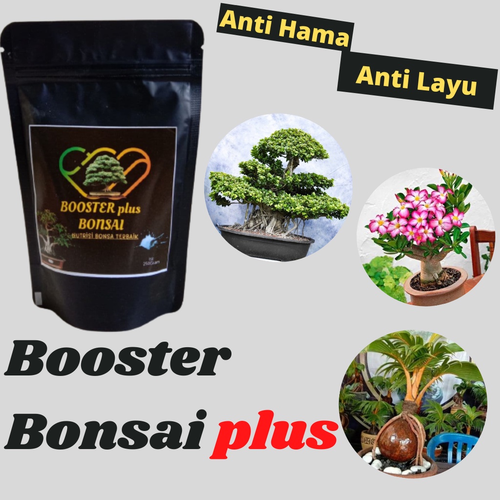 Pupuk Tanaman Bonsai Daun, Akar, Tunas, Bunga, Buah, Nutrisi Bonsai Serut, Kelapa, Asem Jawa, Bering
