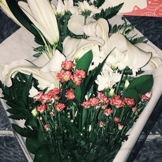 Hot Deal Produk Import Celana Kulot 2019 Musim Panas Hot Deal Produk Import Celana Kulot 2019 Musim Panas