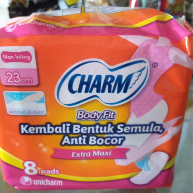 Charm BodyFit