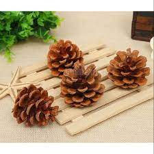 TERMURAH BUNGA BIJI PINUS MINI SIZE 1,5-3CM RUSTIC DRIED FLOWER BAHAN MAHAR CRAFT DIY