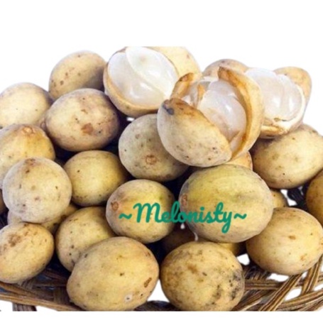 

( 1000 GRAM ) ~ BUAH DUKU MANIS SEGAR