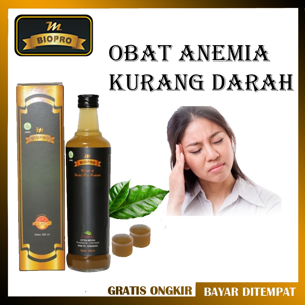 Obat Anemia Kurang Darah Atau Thalassemia Herbal Ampuh