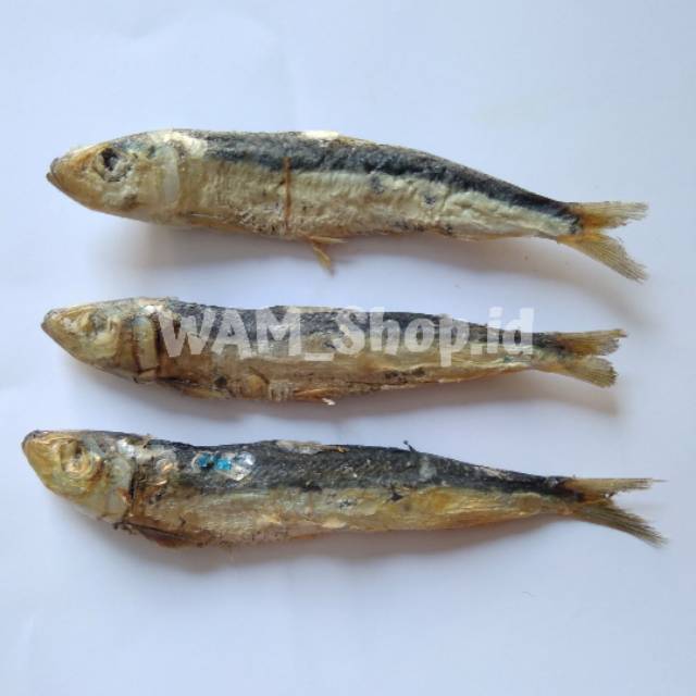 

Ikan asin japuh lesi 100gram