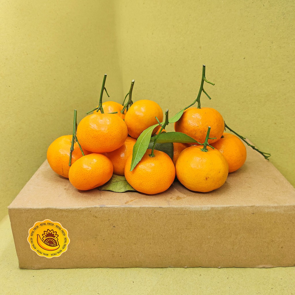 

Jeruk Santang Daun Manis / Shantang Orange