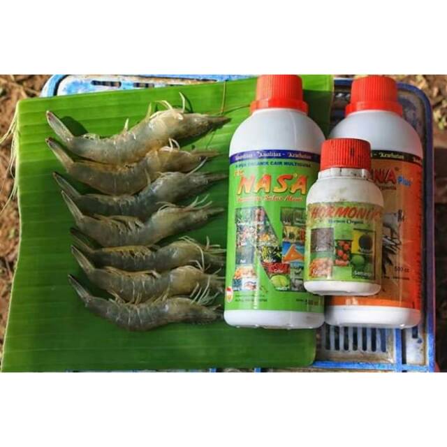

VITAMIN ORGANIK TERNAK UDANG