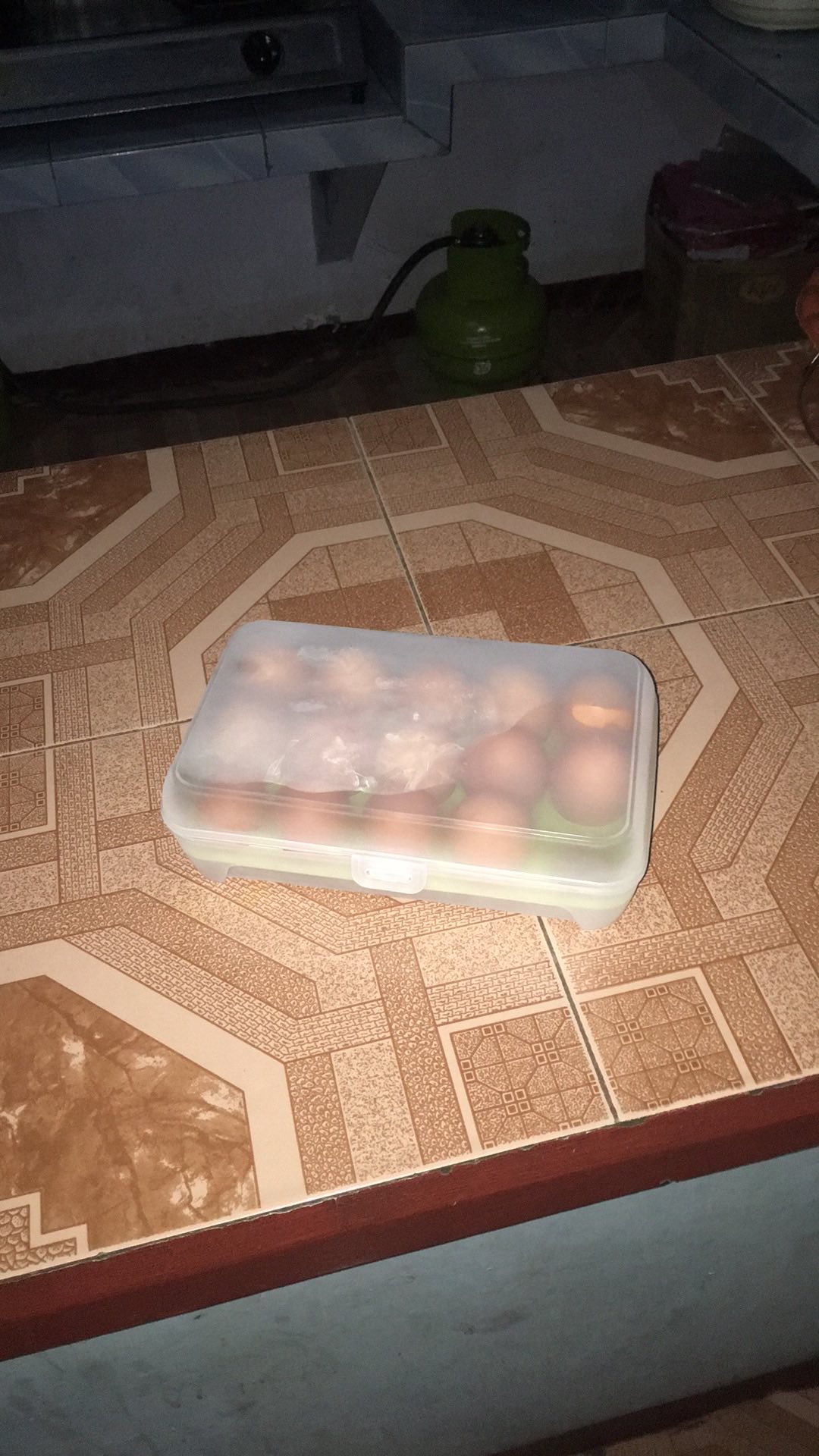 Kotak Telur  / Egg Box Isi 15 Sekat Organizer Bags Eggs Storage Kulkas Jumbo Dapur Masakan Bumbu New